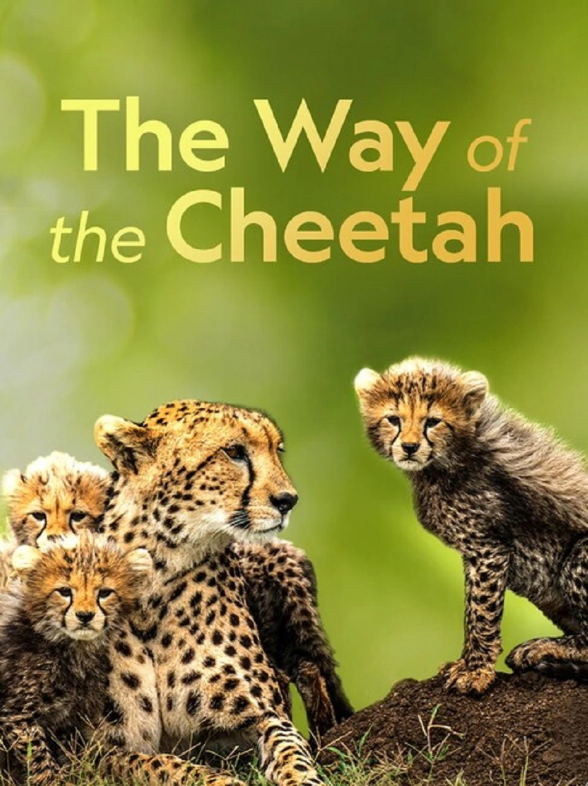 Big Cat Week The Way Of The Cheetah cover