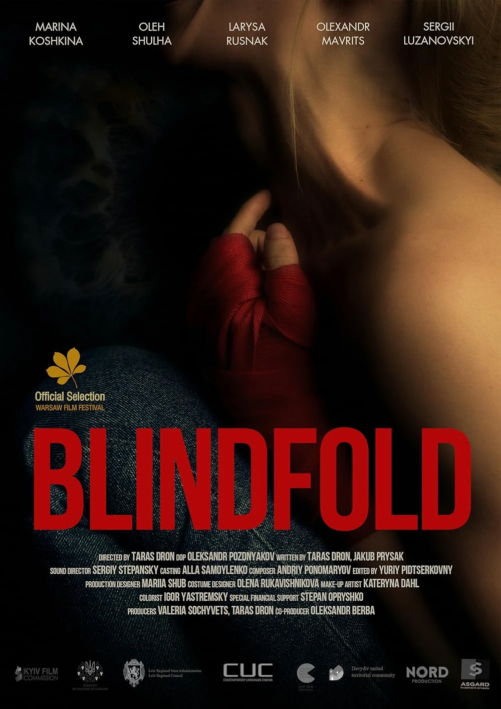 Blindfold cover