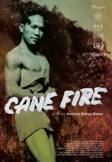 Cane Fire cover