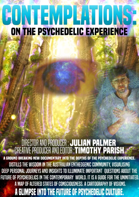 Contemplations On The Psychedelic Experience cover