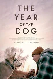 Dogs Of The Year cover