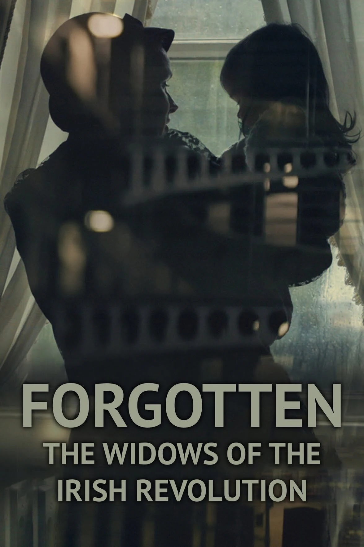 Forgotten The Widows Of The Irish Revolution cover